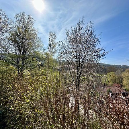 Natur Pur - Waldurlaub Im Tiny House Ronshausen Eksteriør bilde
