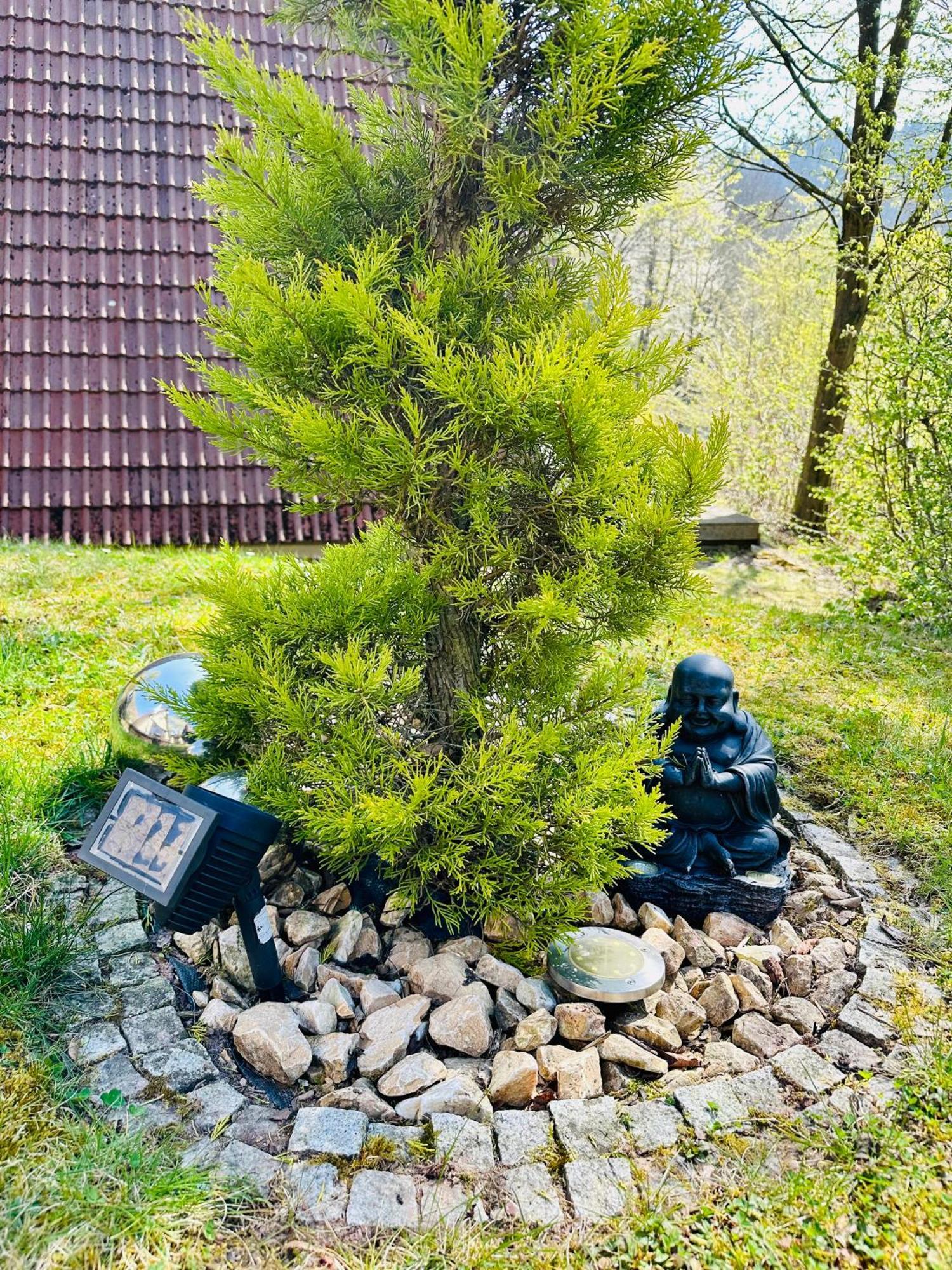 Natur Pur - Waldurlaub Im Tiny House Ronshausen Eksteriør bilde