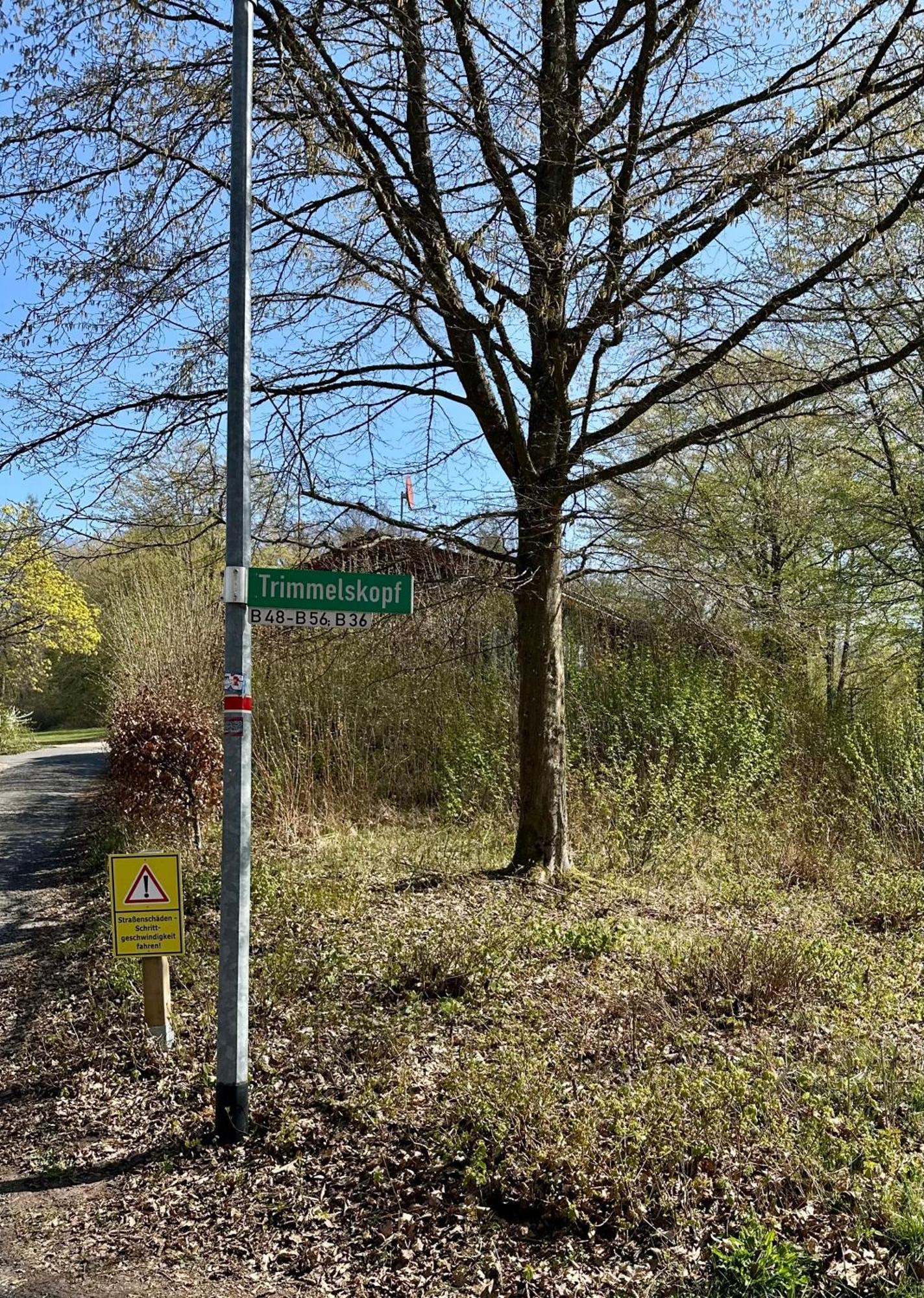 Natur Pur - Waldurlaub Im Tiny House Ronshausen Eksteriør bilde