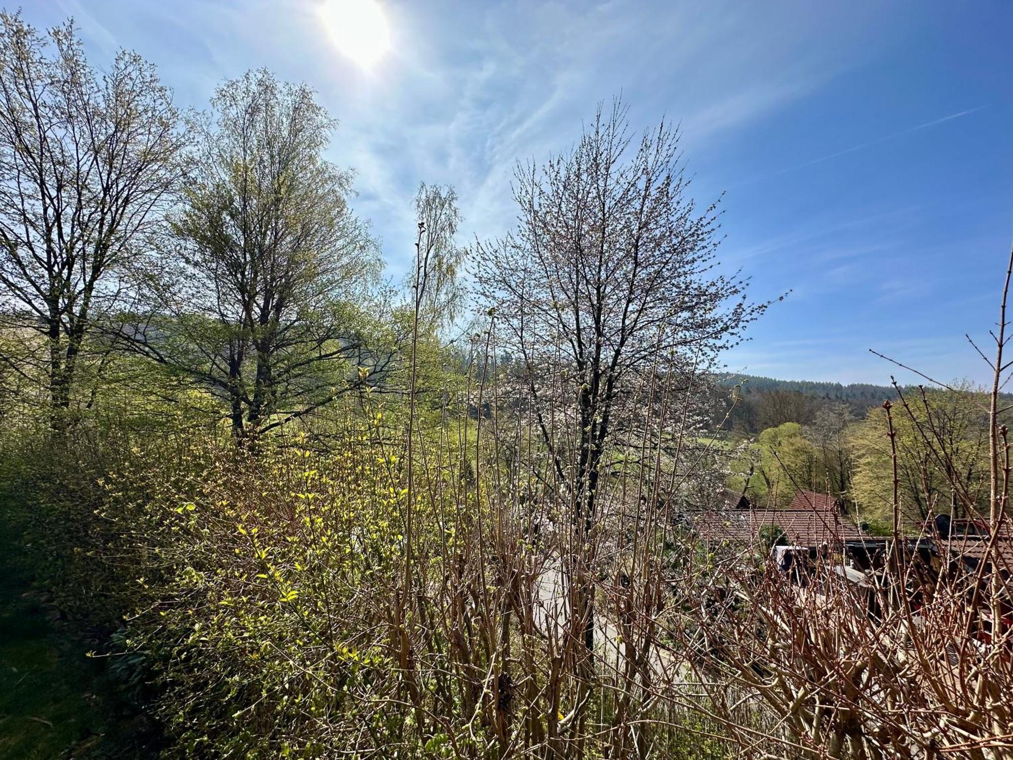 Natur Pur - Waldurlaub Im Tiny House Ronshausen Eksteriør bilde